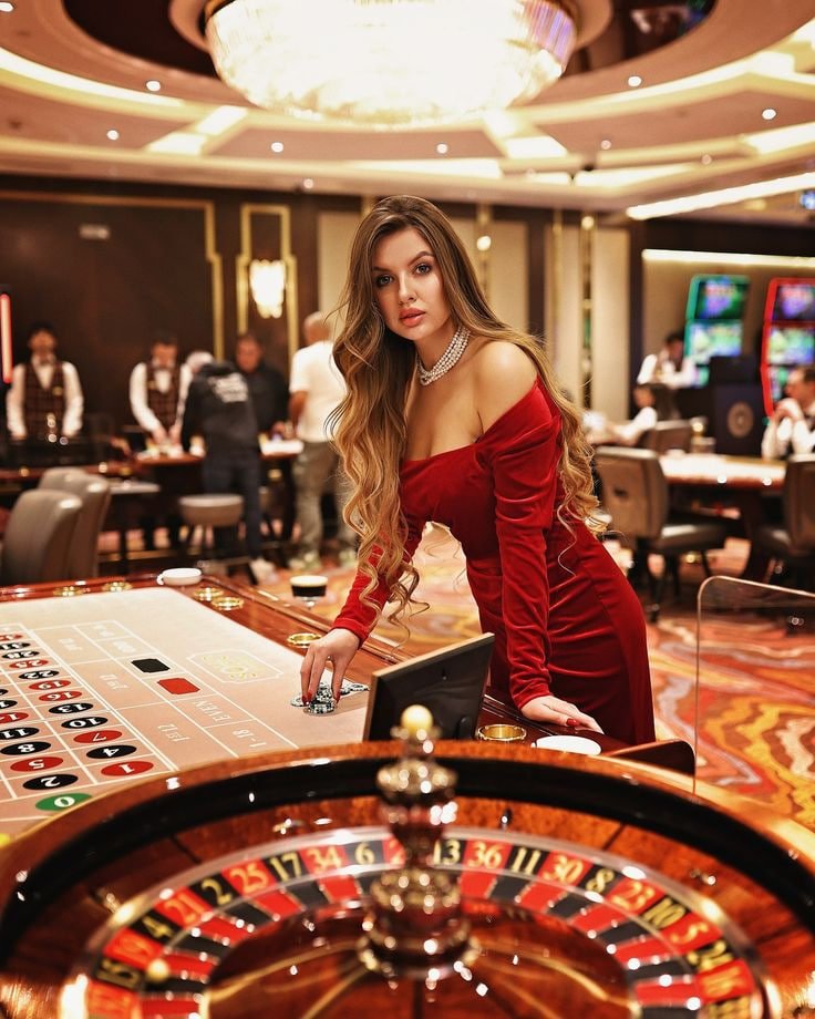 daya4d togel multi-sport dashboard